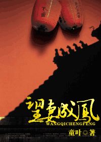 望妻成凤小说阅读