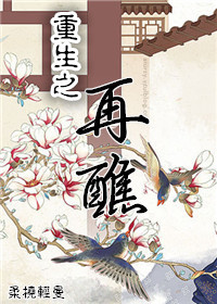 重生之再醮小说阅读