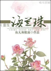 重生海兰珠小说阅读