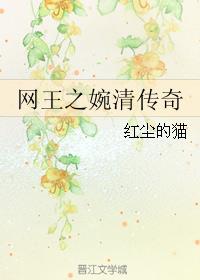网王之婉清传奇小说阅读