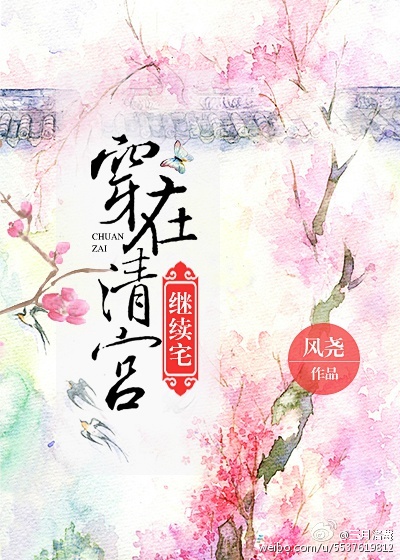 穿在清宫继续宅小说阅读