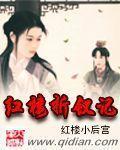 红楼折钗记小说阅读
