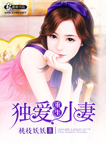 独爱重生小妻小说阅读