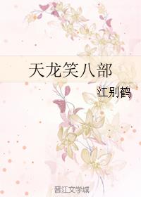 天龙笑八部小说阅读