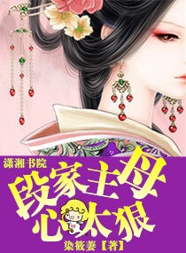 段家主母心太狠 作者：染筱萋