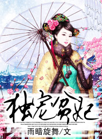 独宠贫妃小说阅读