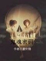 鬼魂密码小说阅读