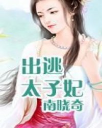 出逃太子妃小说阅读