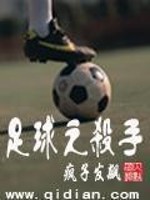 足球之杀手小说阅读