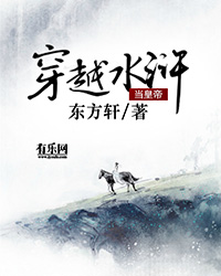 穿越水浒当皇帝小说阅读