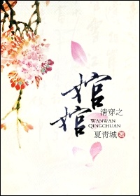 清穿之婠婠小说阅读