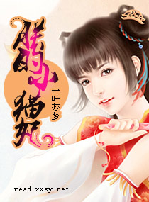 朕的小猫妃小说阅读