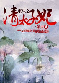 重生之清太子妃小说阅读