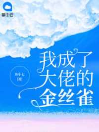 我成了大佬的金丝雀小说阅读