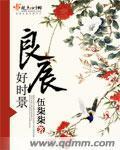 良辰好时景小说阅读