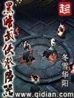 黑暗武侠登陆器小说阅读