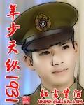 年少天纵1931小说阅读