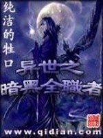 异世之暗黑全职者小说阅读