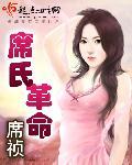 席氏革命小说阅读