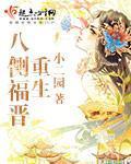 重生八侧福晋小说阅读