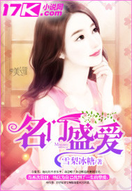 名门盛爱小说阅读
