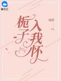 栀子入我怀小说阅读