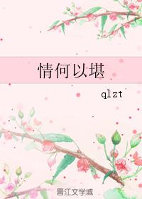 情何以堪小说阅读