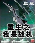 重生之我是战机小说阅读