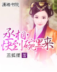 丞相,快到碗里来小说阅读