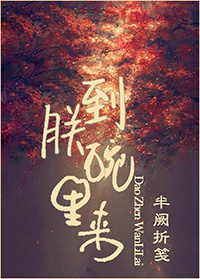 到朕碗里来小说阅读