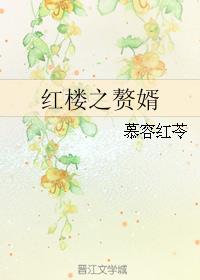 红楼之赘婿小说阅读