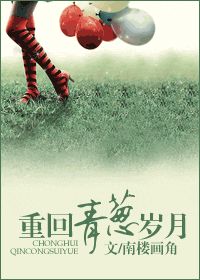 重回青葱岁月小说阅读