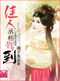佳人丞相驾到小说阅读