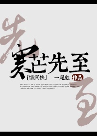 寒芒先至[综武侠]小说阅读