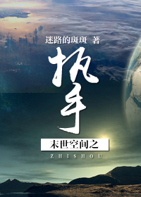 末世空间之执手小说阅读