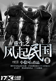重生之风起民国小说阅读