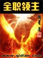 全职领主小说阅读