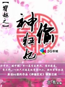 神偷狂妃小说阅读