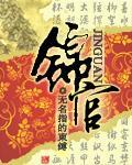 锦官小说阅读