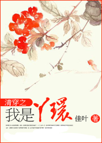 清穿我是丫环小说阅读