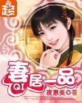 妻居一品小说阅读