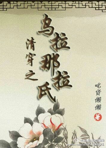 清穿之乌拉那拉氏小说阅读