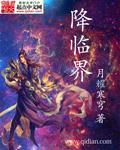 降临界小说阅读