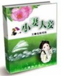 小妻大妾小说阅读