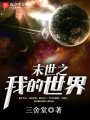 末世之我的世界小说阅读