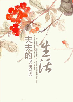 夫夫的生活小说阅读