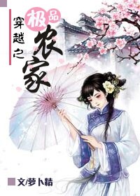 穿越之极品农家小说阅读