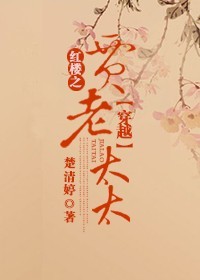 穿越红楼之贾老太太小说阅读