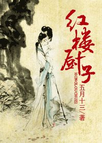 红楼厨子小说阅读