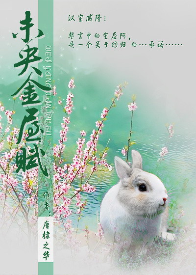 未央金屋赋小说阅读